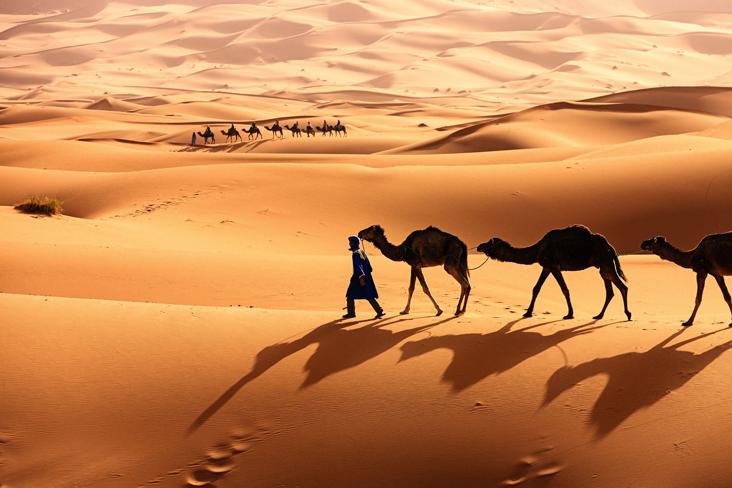 desertul Sahara