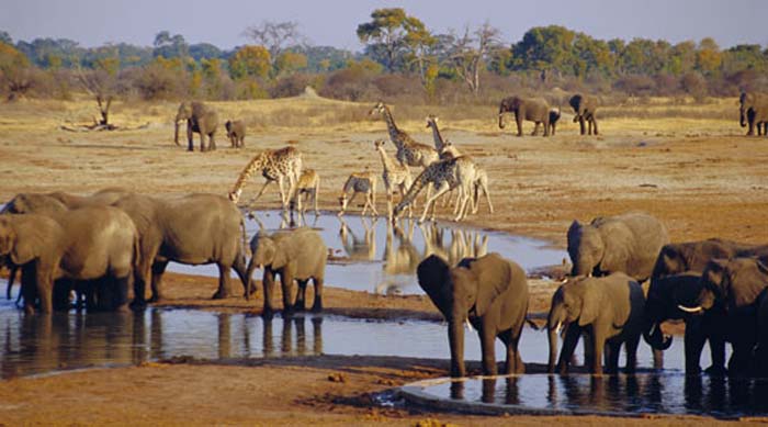 Namibia